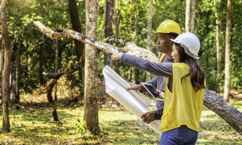 The supervisors are constructing roads in the forest. Young Engineer Male and female holding blueprint and tablet on hand. Engineer team working on project at the forest. Technical operators.